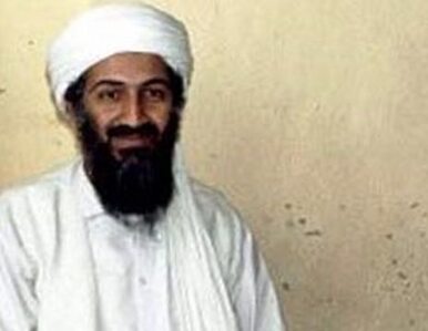 Miniatura: Służby specjalne ukrywały Bin Ladena?