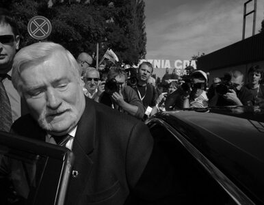 Miniatura: Wałęsa chce wrócić do polityki