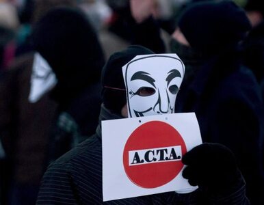 Miniatura: Praga też mówi "stop ACTA"