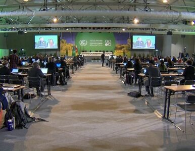 Miniatura: Szczyt klimatyczny COP19. Sukcesem będzie...