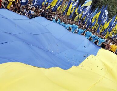 Miniatura: Janukowycz: niech UE nie miesza się w...