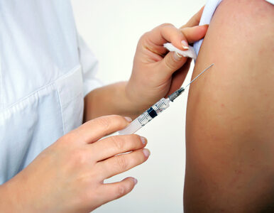 Miniatura: Cztery szczepionki przeciwko COVID-19 będą...