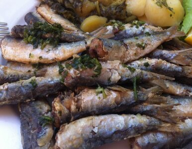 Miniatura: Polacy wciąż jedzą mało ryb