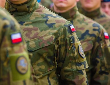Miniatura: Połowa Polaków za interwencją NATO w...