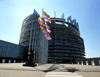 Miniatura: PiS triumfuje w Parlamencie Europejskim