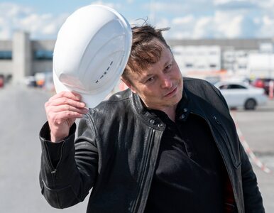 Miniatura: Dlaczego Elon Musk robi z siebie durnia?
