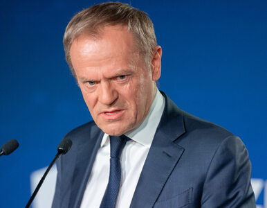 Miniatura: Donald Tusk zarzucił polskim władzom...