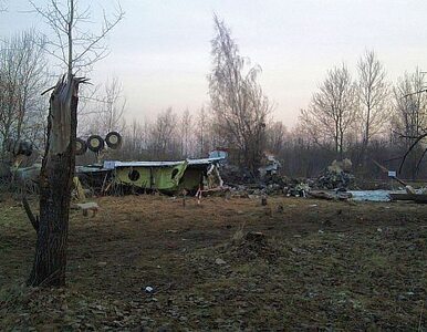 Miniatura: "Tu-154 nie uderzył w brzozę". Eksperci...