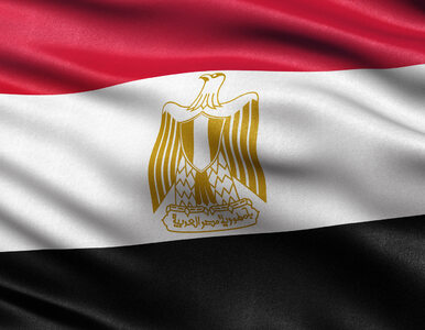 Miniatura: Egipski sąd potwierdził niekorzystny wyrok...