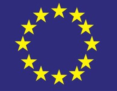 Miniatura: UE przyjęła mandat misji obserwacyjnej do...