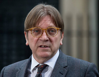 Miniatura: Guy Verhofstadt apeluje w PE o wszczęcie...