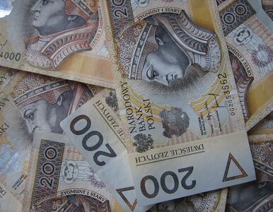 Miniatura: Pieniądze dla Polonii trafiły do......