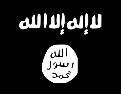 Miniatura: ISIL zbyt brutalne nawet dla bin Ladena