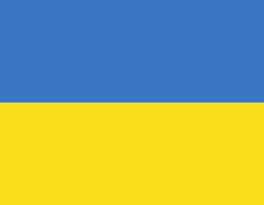 Miniatura: Ukraina: usunięto przewodniczącego parlamentu