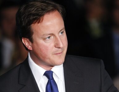 Miniatura: Cameron chce zreformować Trybunał w...