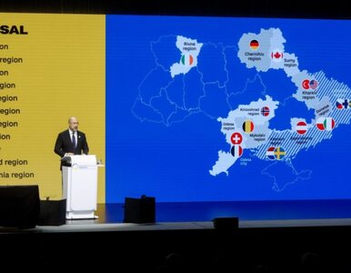 Miniatura: Odbudowa Ukrainy. Polsce przypadł...