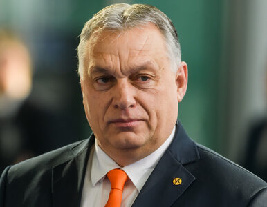 Miniatura: Orban nie przestaje szokować. Skandaliczna...