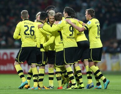 Miniatura: Borussia zbroi się na nowy sezon