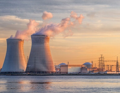 Miniatura: Pierwsza komercyjna elektrownia jądrowa w...