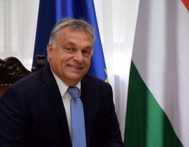Miniatura: Orban: Unia Europejska powinna założyć...