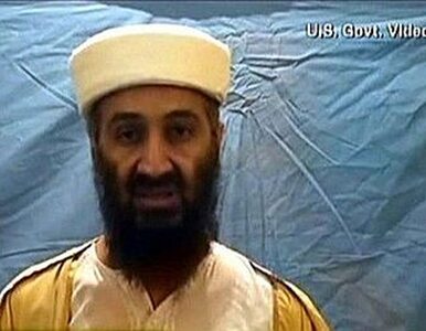 Miniatura: Dokumenty i testament bin Ladena. Miliony...