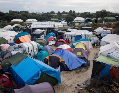 Miniatura: Calais: Uchodźca z Erytrei zaatakował...