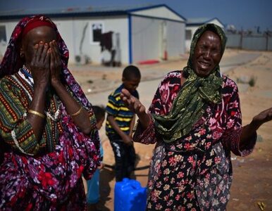 Miniatura: Libia: giną kobiety i dzieci - plemiona z...