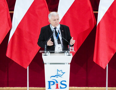 Miniatura: Kaczyński: Znowu mamy rebelię