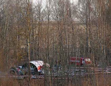Miniatura: Smoleńsk: szczątki Tu-154 zmieszane z......