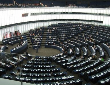 Miniatura: Parlament Europejski: nie tylko Niemcy...