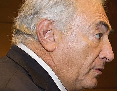 Miniatura: Strauss-Kahn: to był błąd moralny, ale nie...