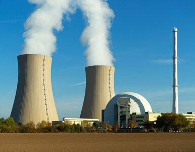 Miniatura: Polska elektrownia jądrowa. Amerykańskie...