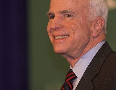 Miniatura: McCain: USA powinny uznać Narodową Radę...