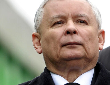 Miniatura: Palikot: PO chce, by Kaczyński znów był...