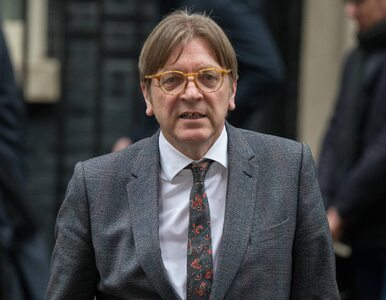 Miniatura: Verhofstadt: Nie mamy problemu z Polakami,...