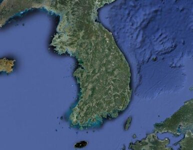 Miniatura: Korea Północna zagłodziła kilkaset tysięcy...