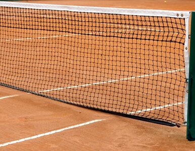 Miniatura: Polak wygrał challenger ATP w Rzymie