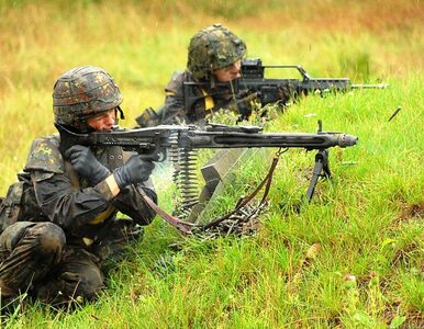 Miniatura: Żołnierze Bundeswehry planowali zamach na...