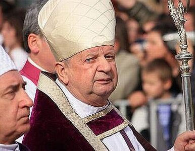 Miniatura: Kardynał Dziwisz: Jan Paweł II jest...