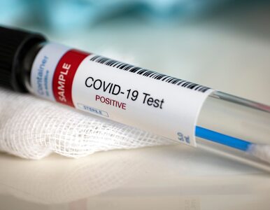 Miniatura: Pierwsze szczepionki przeciw COVID-19 już...
