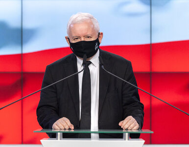 Miniatura: Kaczyński z uznaniem o inicjatywie...