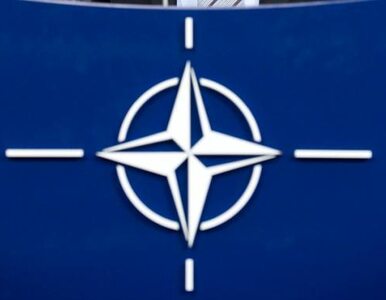 Miniatura: NATO: spodziewamy się współpracy z Rosją
