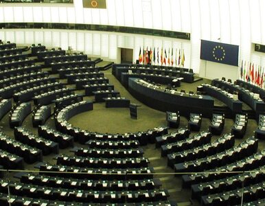 Miniatura: Polski sukces w Parlamencie Europejskim....