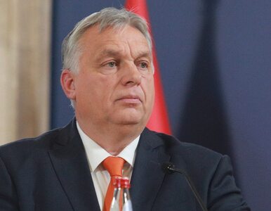 Miniatura: Viktor Orban o szczycie w Wilnie....
