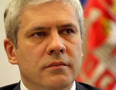 Miniatura: Prezydent Serbii: wkrótce rozmowy z Kosowem