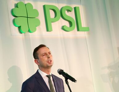 Miniatura: PSL po wyborach samorządowych - straty w...