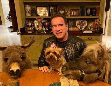 Miniatura: Schwarzenegger zachęca do zostawania w...