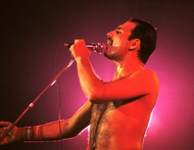 Miniatura: Ostatnie zdjęcie Freddie'ego Mercury'ego...