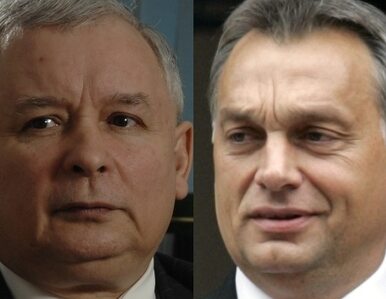 Miniatura: "Orban przeprowadził zamach stanu, a PiS...