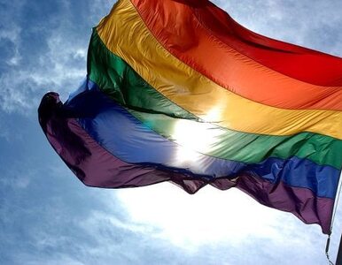 Miniatura: Posłanka PiS: Kampania Przeciw Homofobii...